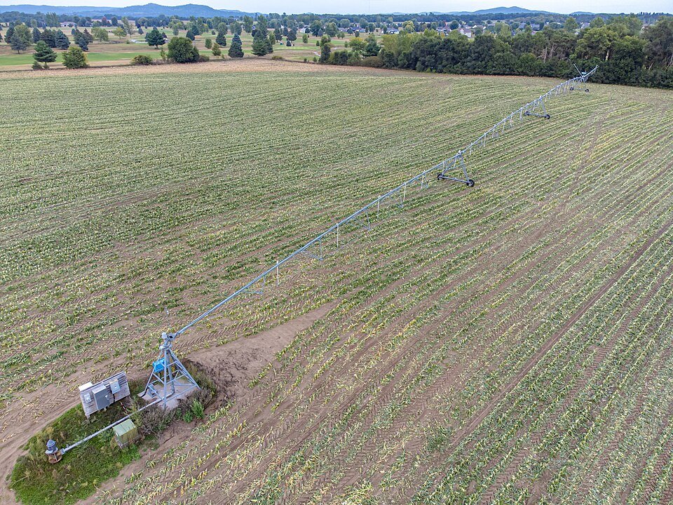 Sprinkler irrigation watering a green field
